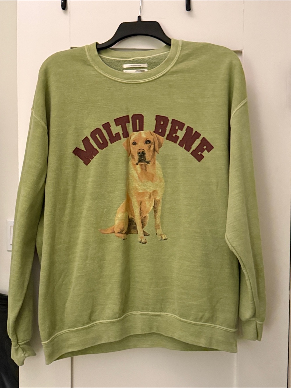 Anthropologie Olive Green Dog Graphic Sweatshirt